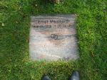 Ernst Meinhardt.JPG